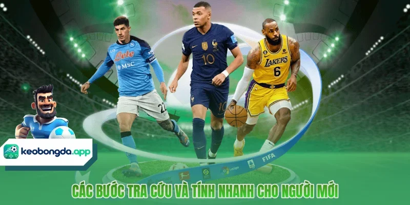 Các bước tra cứu và tính nhanh cho người mới