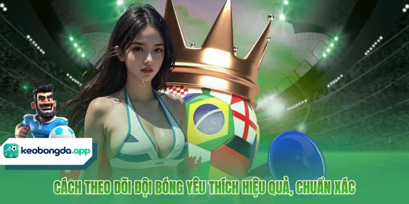 Cách theo dõi đội bóng yêu thích hiệu quả, chuẩn xác