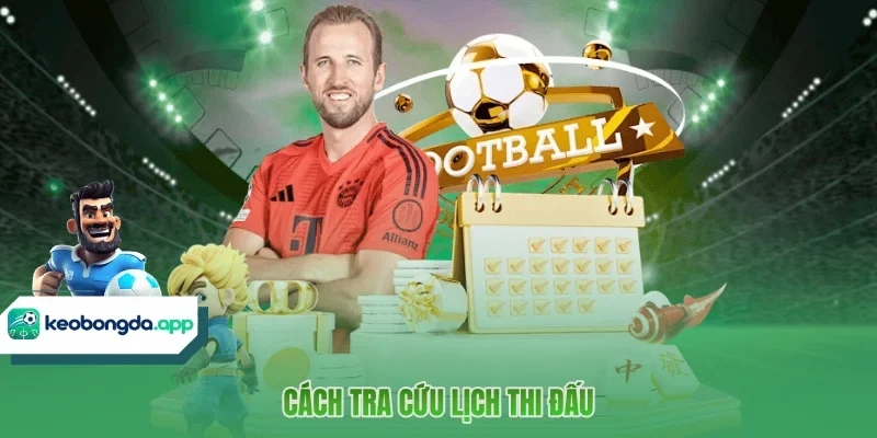 Cách tra cứu lịch thi đấu