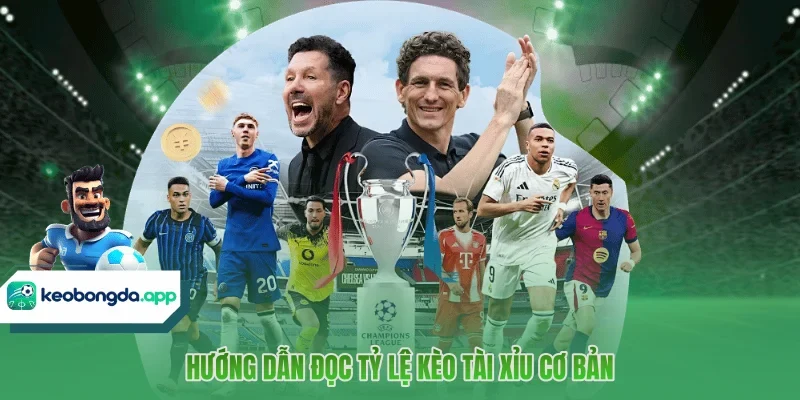 Hướng dẫn đọc tỷ lệ kèo Tài Xỉu cơ bản