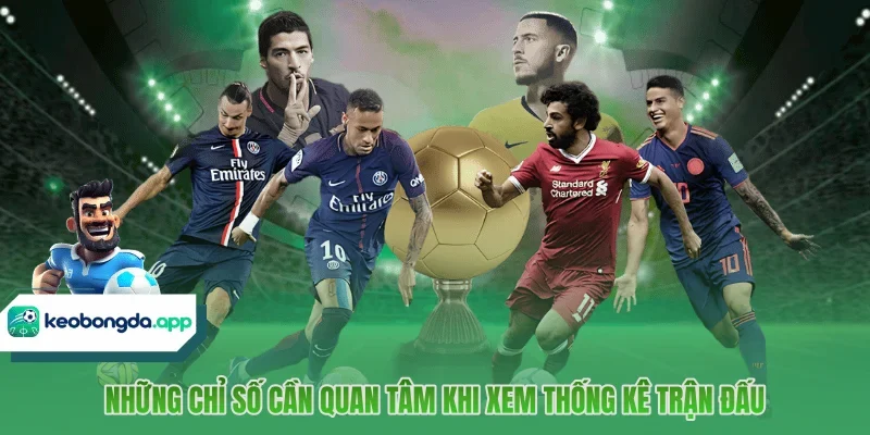 Những chỉ số cần quan tâm khi xem thống kê trận đấu