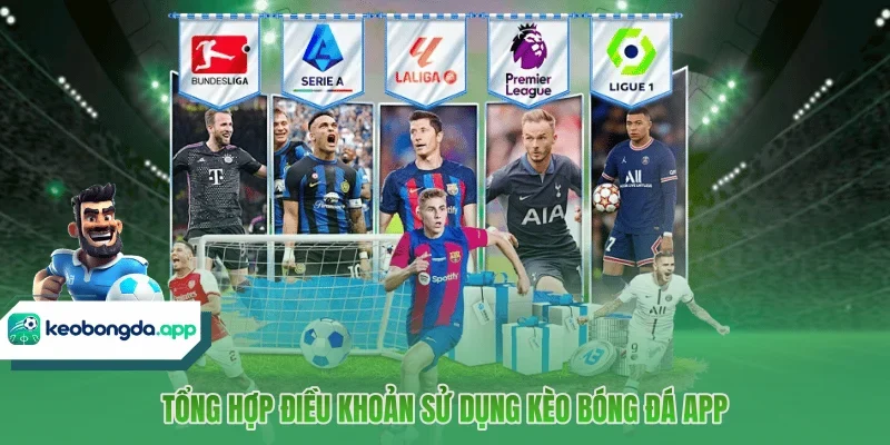 Tổng hợp điều khoản sử dụng Kèo Bóng Đá App